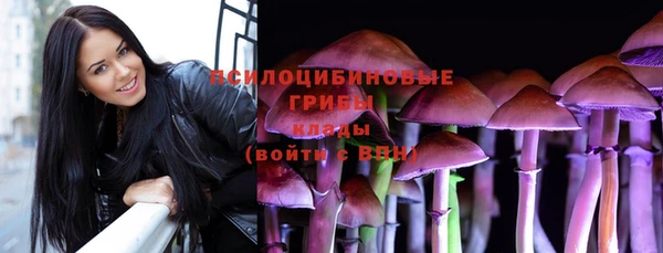 дмт Верхний Тагил