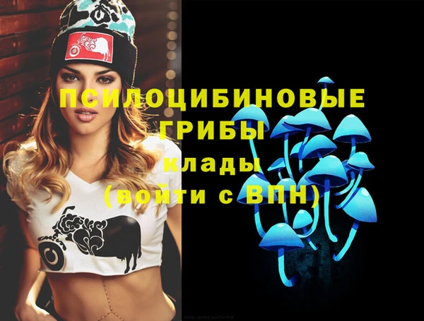 дмт Верхний Тагил