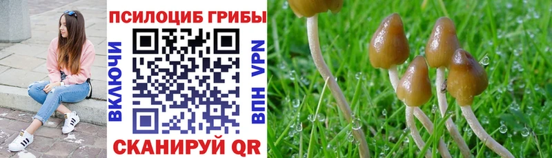 Галлюциногенные грибы прущие грибы  Волгодонск 